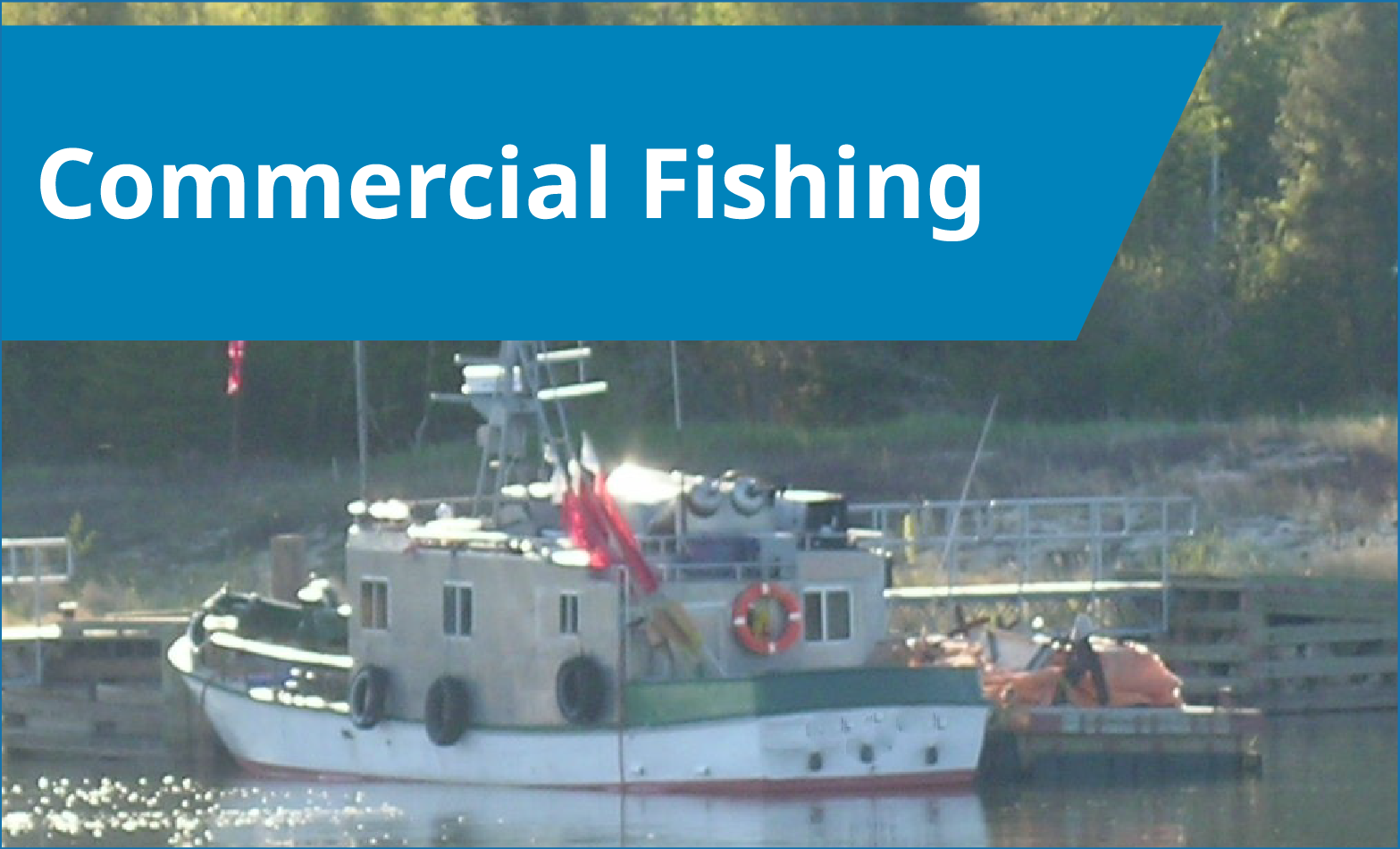 Commercial Fishing