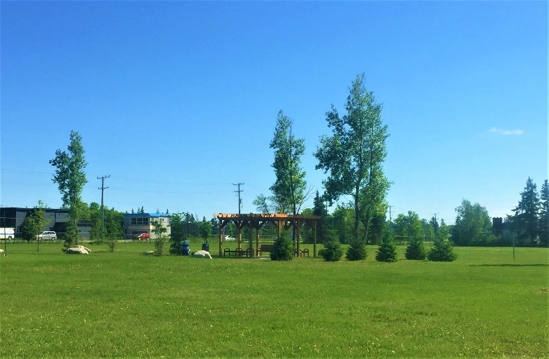 Photo of trees in a park setting under a clear blue sky, with a pergola in the background