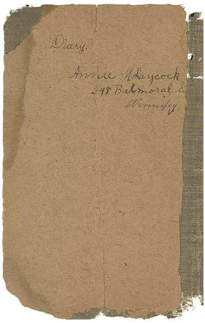 cover of diary