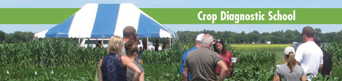 Crop Diagnostic School