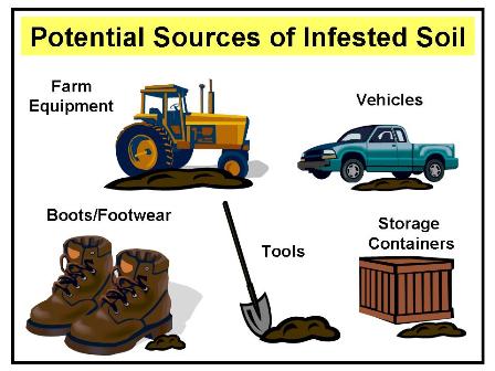 Potential means by which clubroot infested soil could be spread from one production area to another