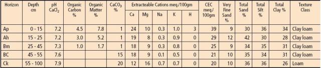 Newdale soil analysis