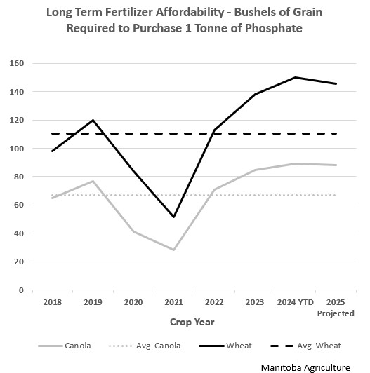  A graph showing that how much Bushels of Grain required to purchase 1 tonne of Phosphate from 2016 to 2024