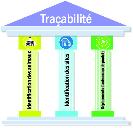 Traçabilité